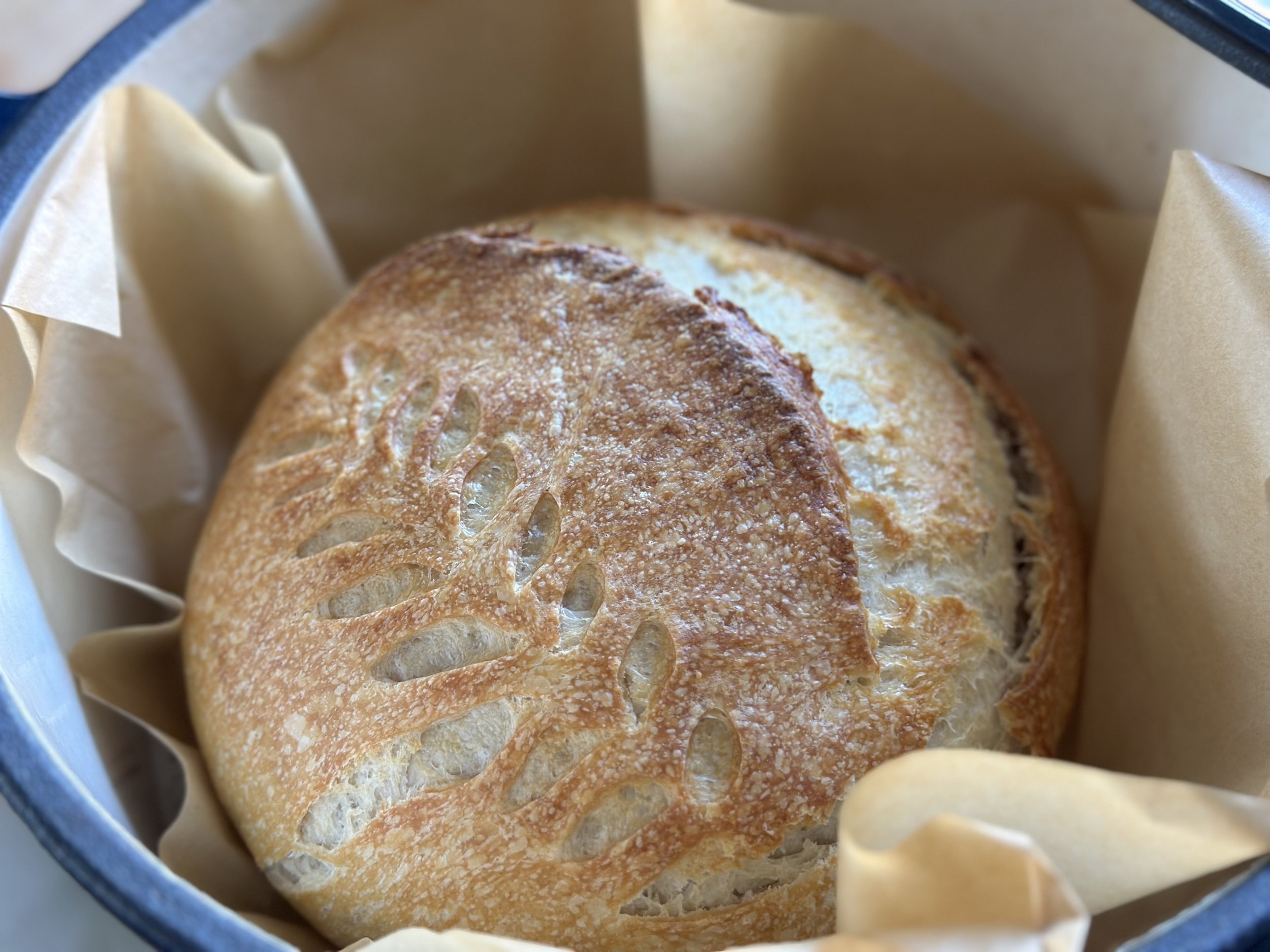 Basic Sourdough Bread 