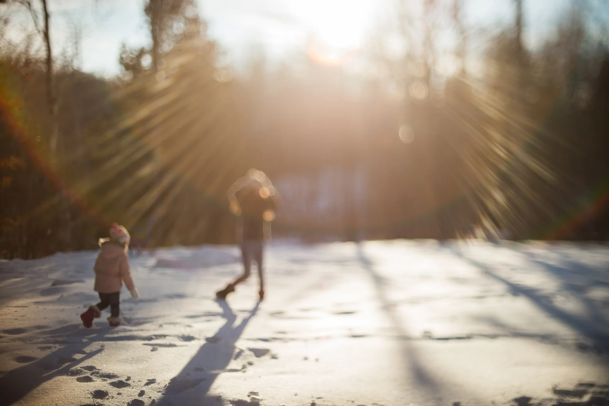 50mm (freelensed)