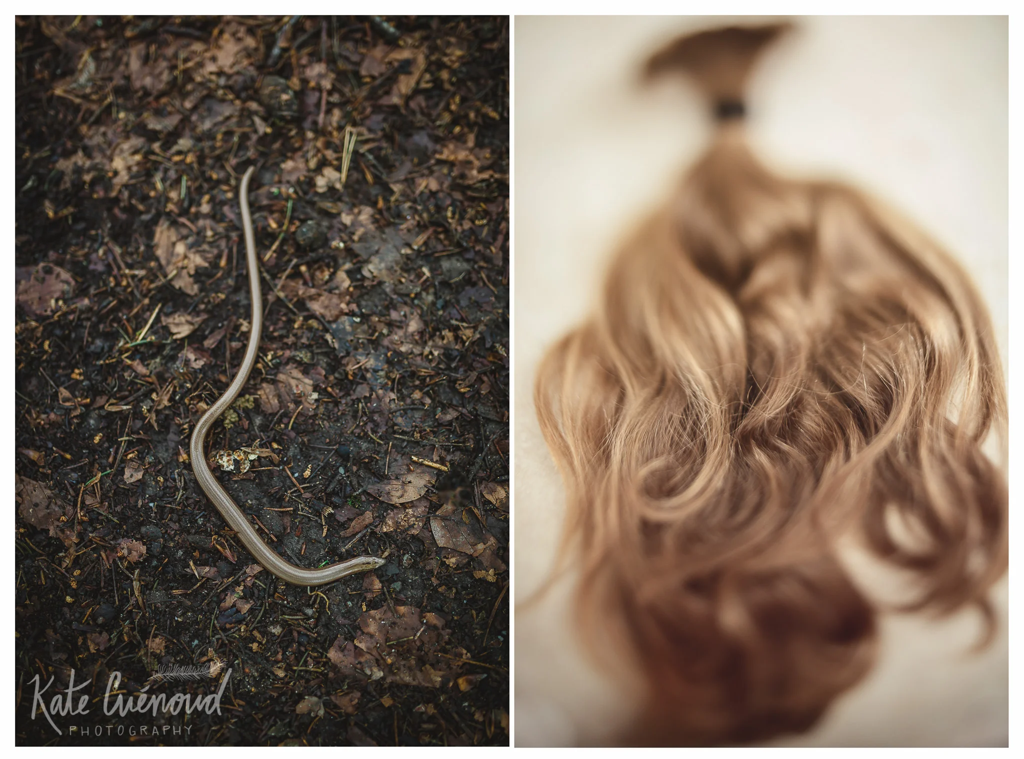 Transformation