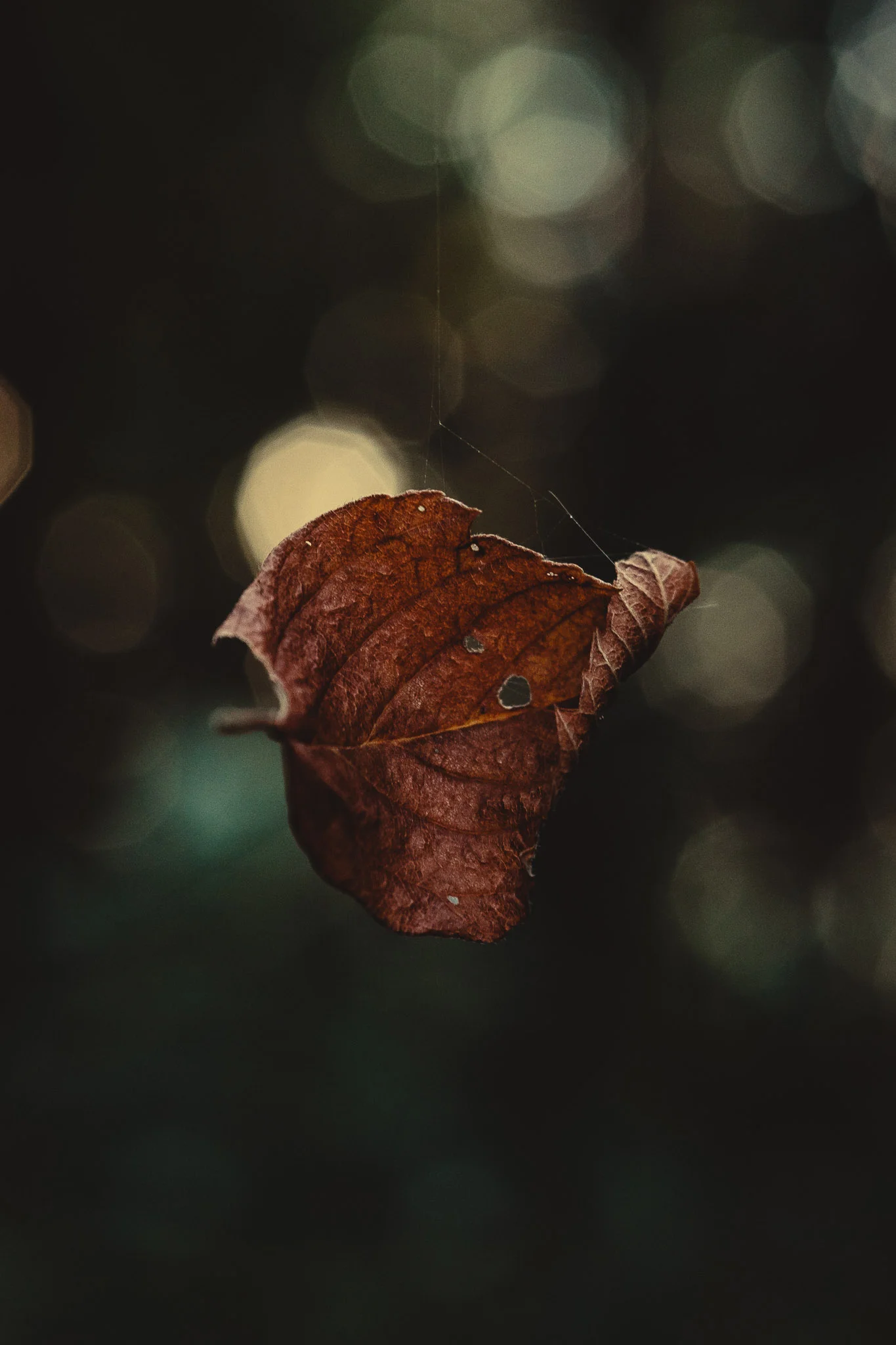 HS_feature-6.jpg