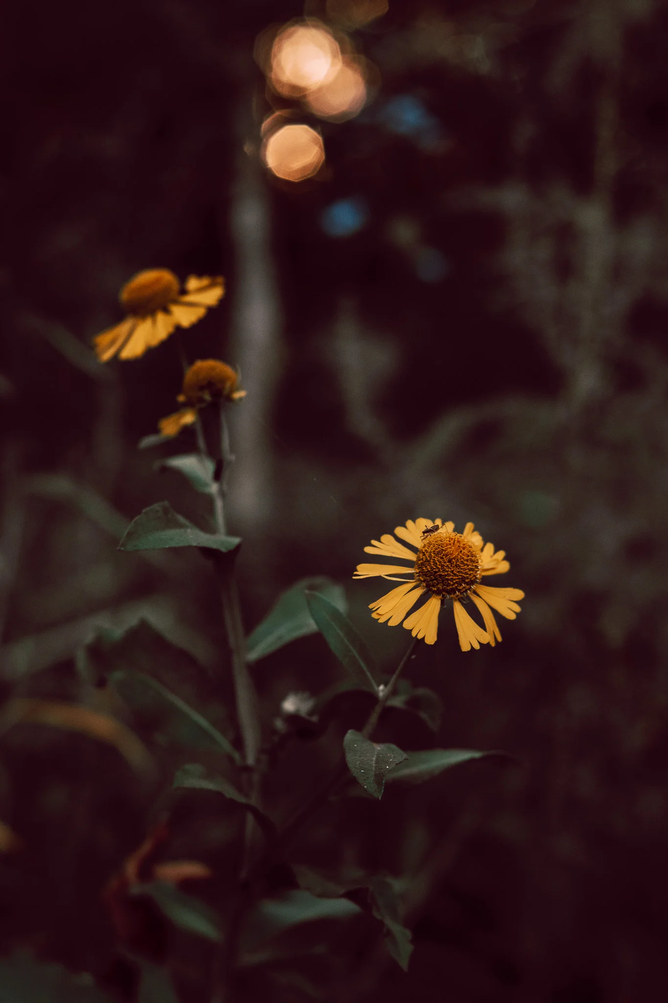 HS_feature-8.jpg
