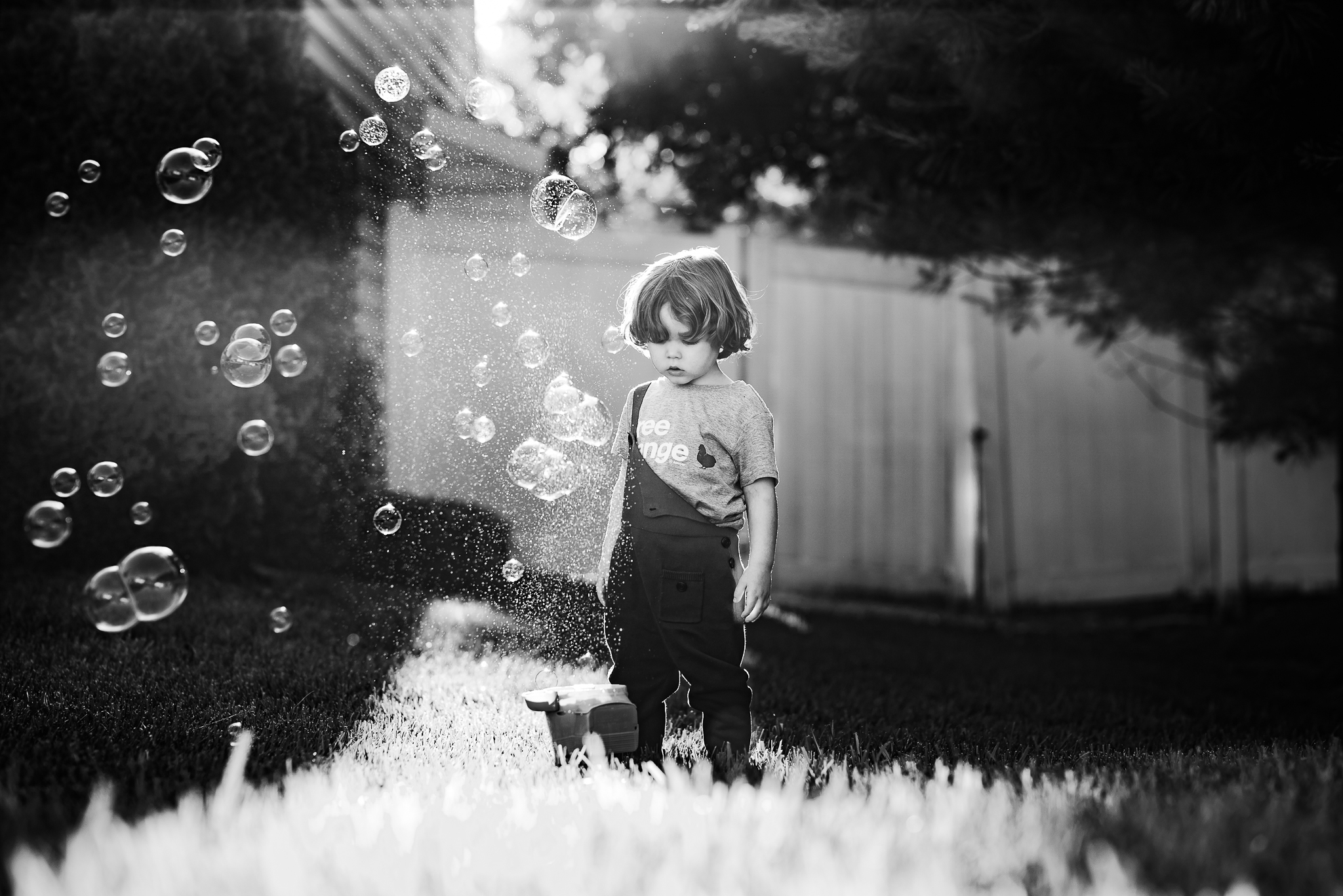 20180604-DSC_0124-Edit.jpg