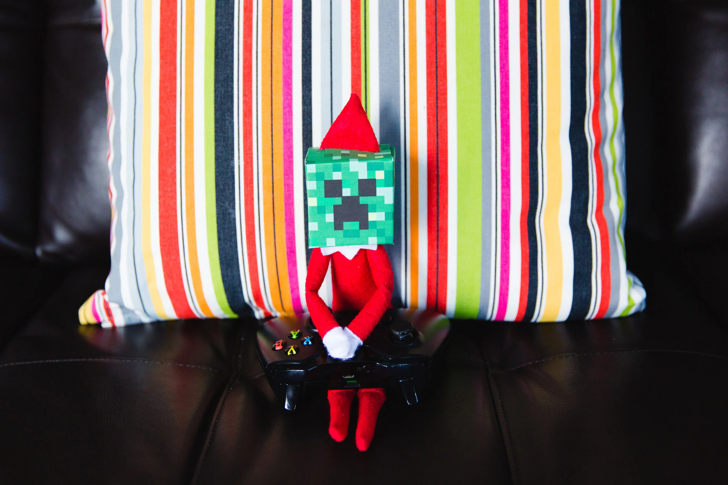 elf_CG3A8004.jpg