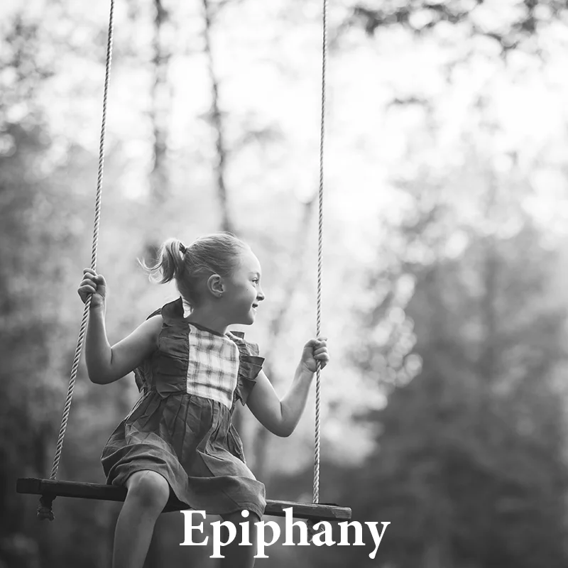 Epiphany: A silvery & luxurious black and white