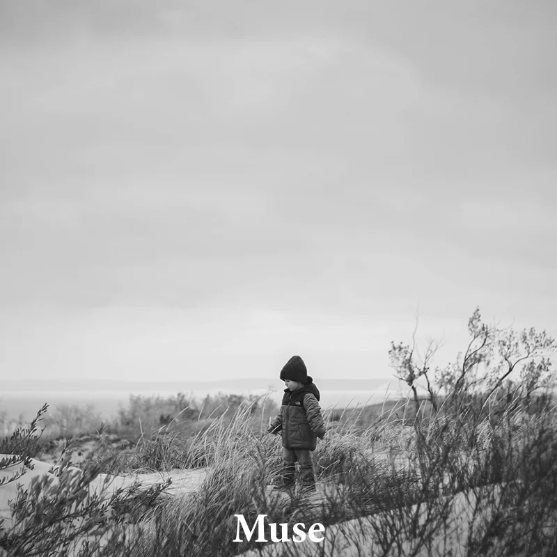 Muse: A classic & versatile treatment for any image