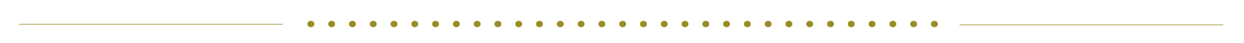 dot divider 2.png