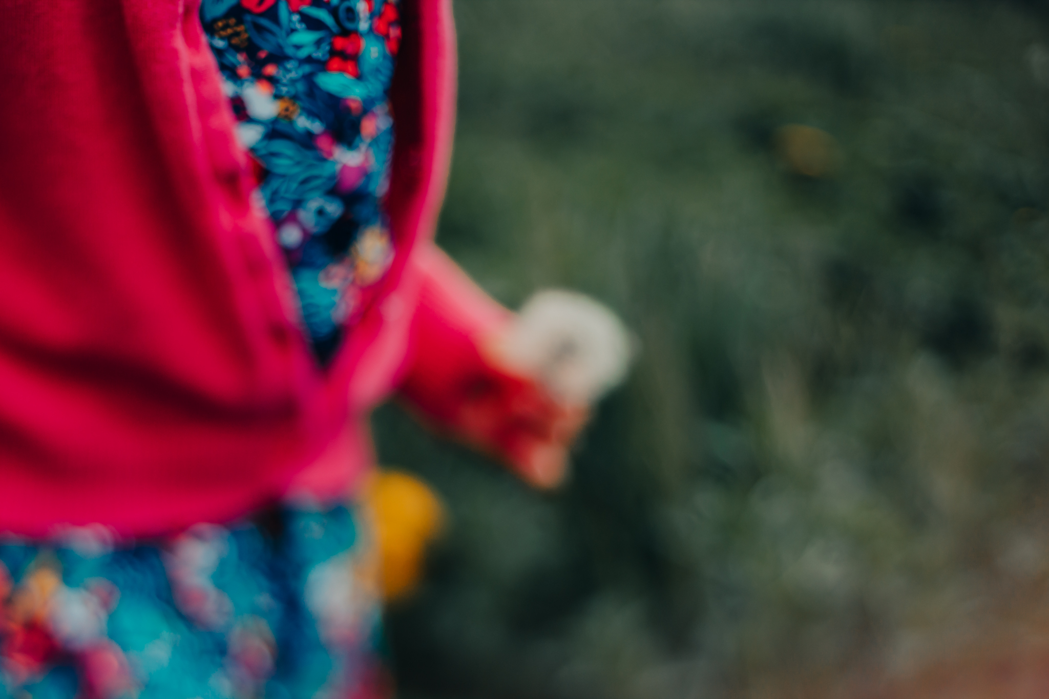 Freelensing ~ May, 2019
