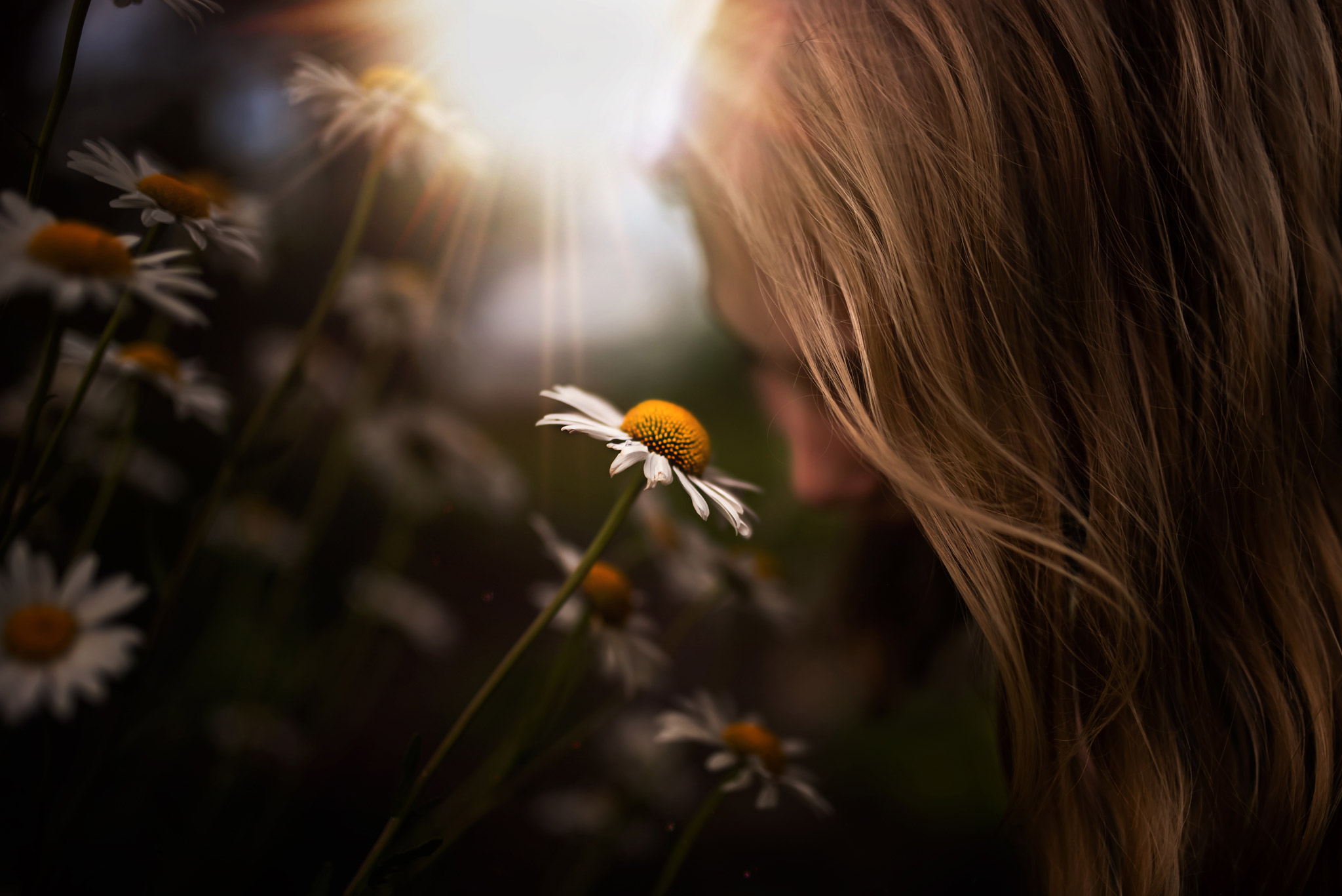 We decided to go out and capture nature's beauty (myself and my kids). I love this moment I caught of my daughter smelling the daisies. I even added a light overlay from Susan Brooksby (free if you sign up to be a Hello Storyteller member!) it was one of June's perks :)