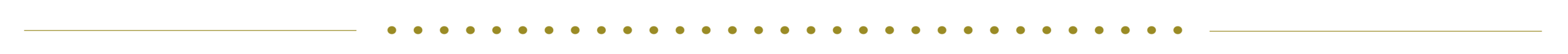 dot divider 2.png