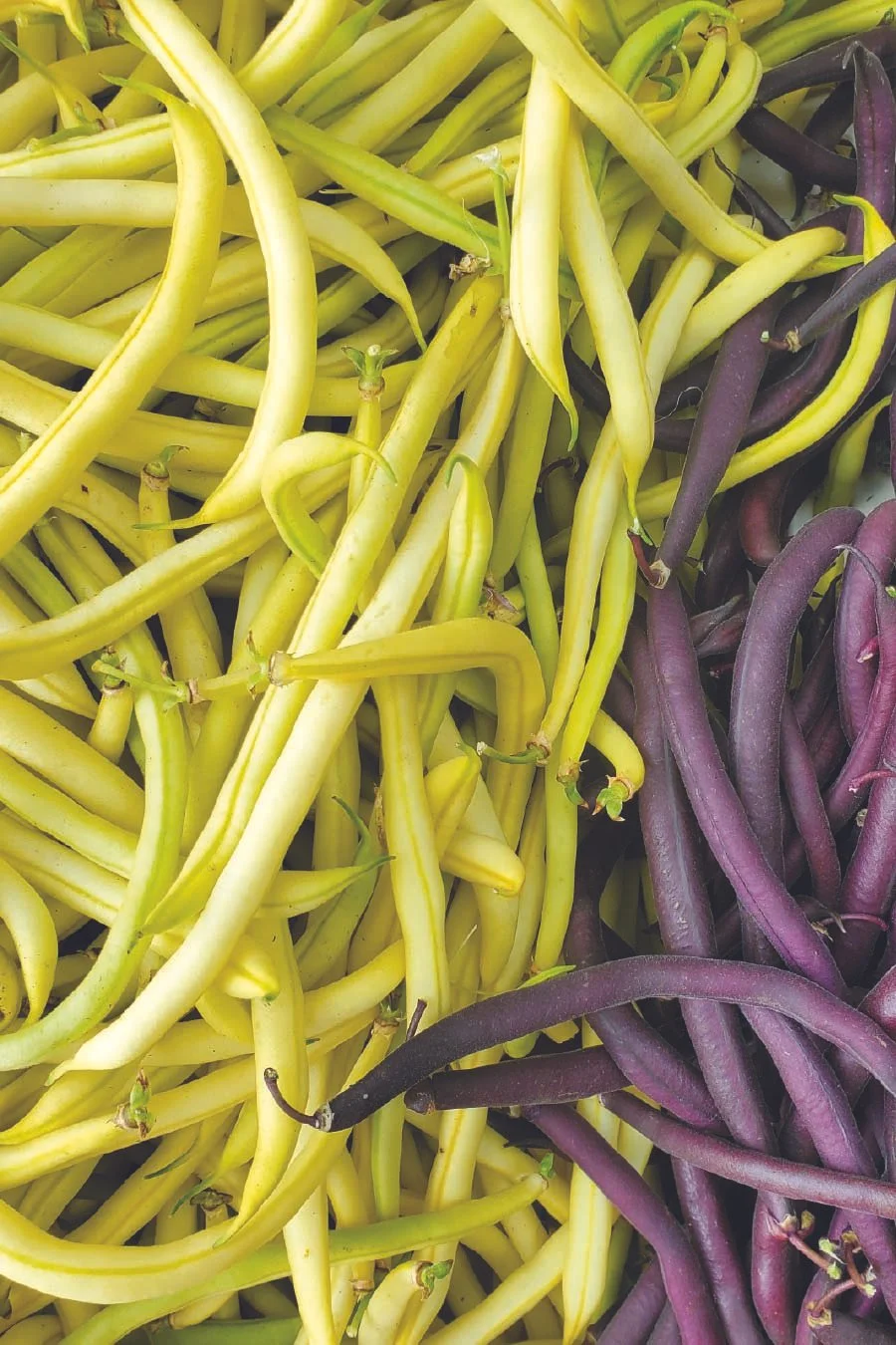 fruits and veggies.jpg