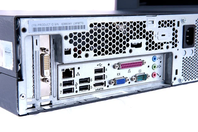 The back of this computer case has both a blue analog (aka VGA) connector as well as a white digital (DVI) connector. Photo courtesy of pixabay.com.