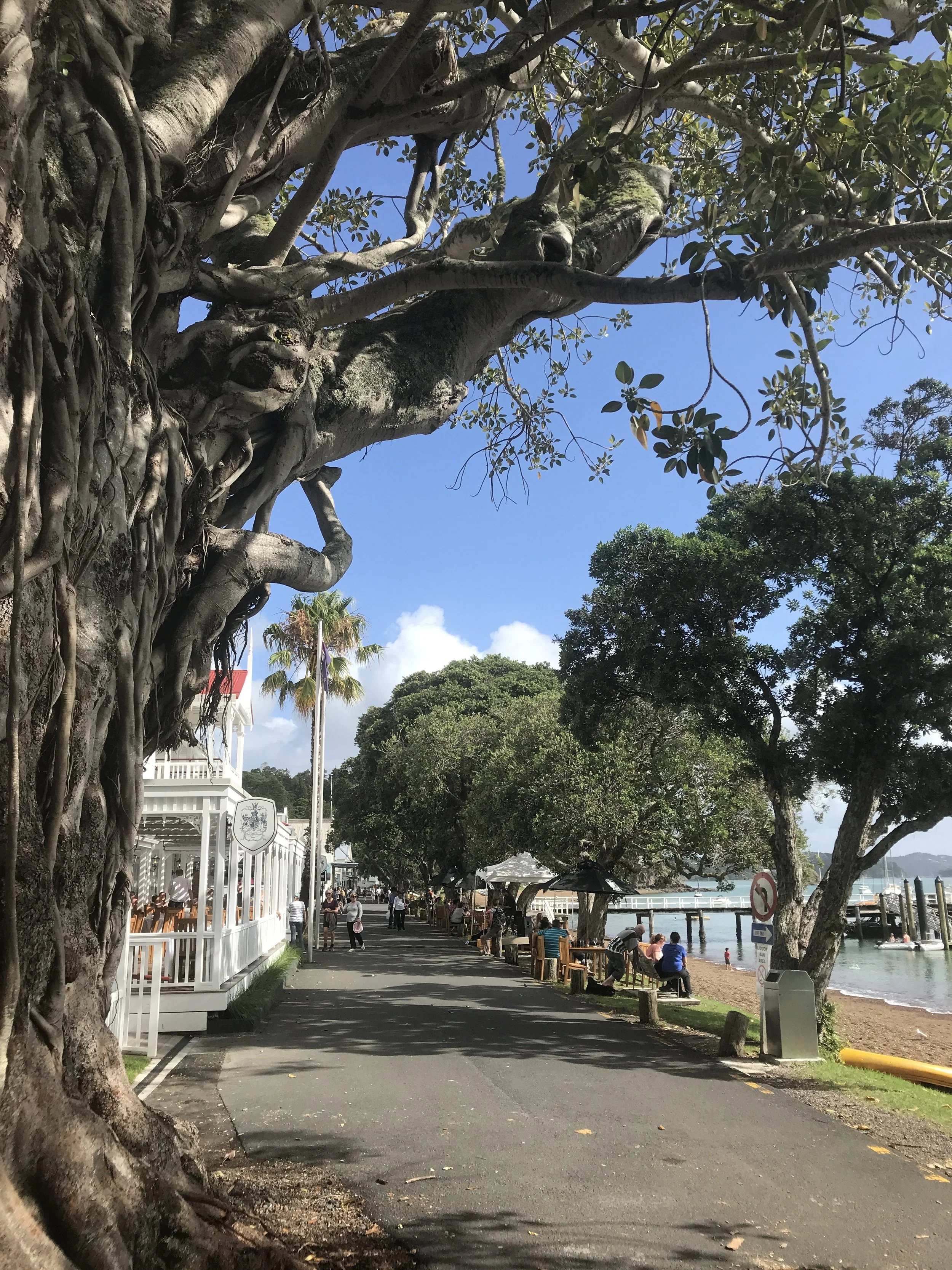 Bay of Islands and having fun with Plan B