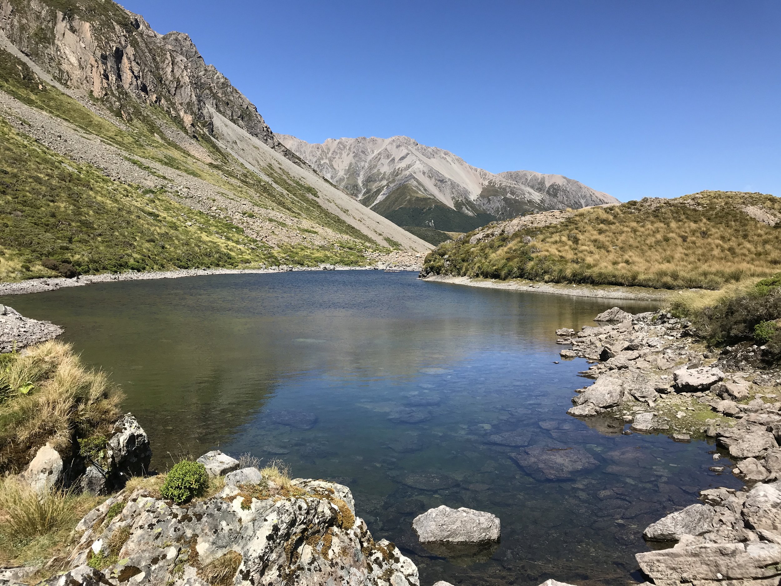 Sandflies, thunder and cheeky Alpine parrots — Dispatches from the 45°S