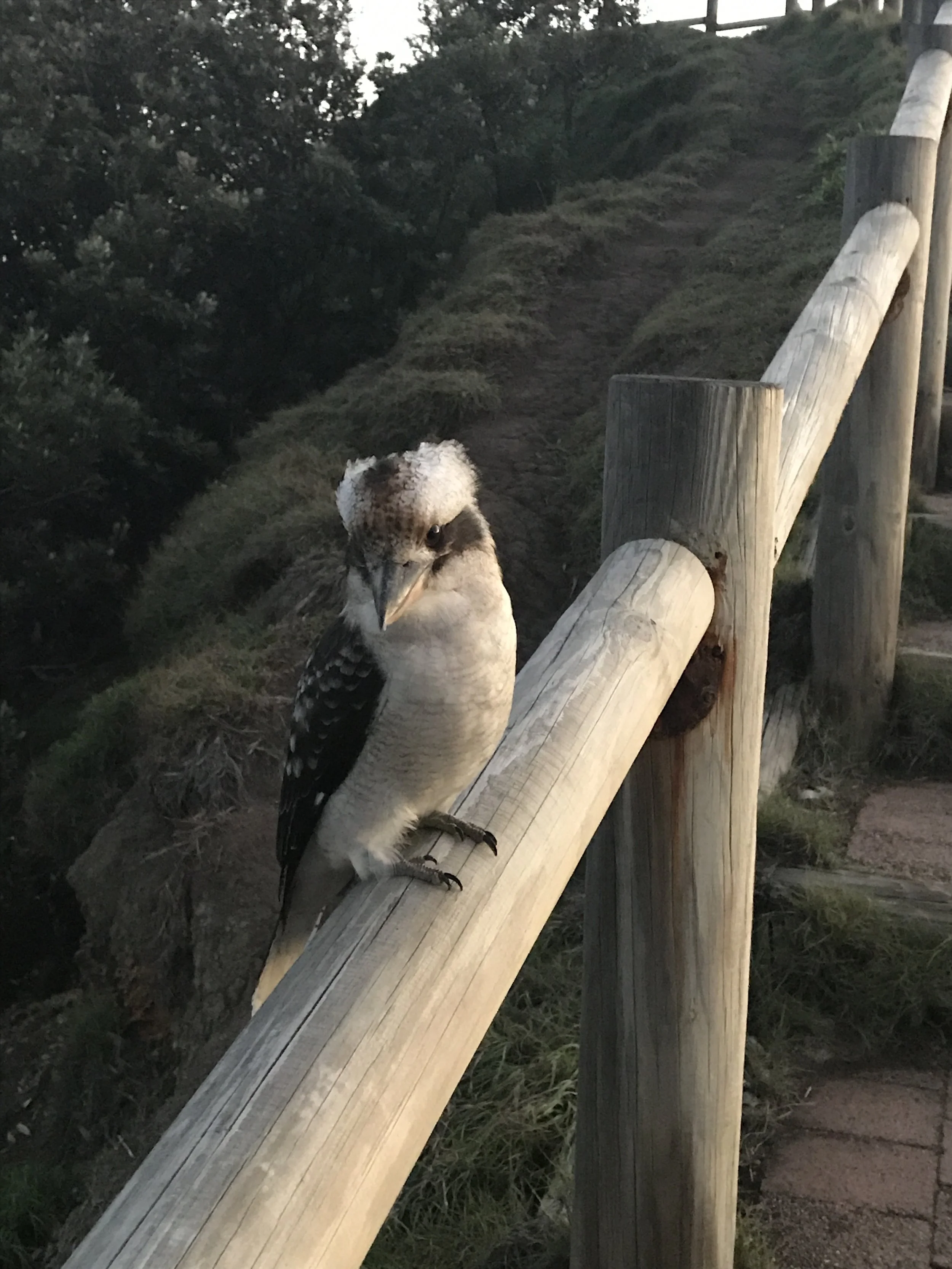 Detour to mystical Aussie