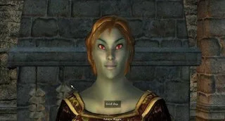 NPC's.jpg