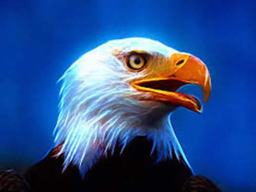 Eagle.jpg