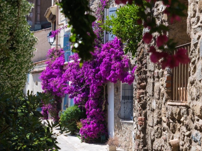 Picture of a typical Grimaud street