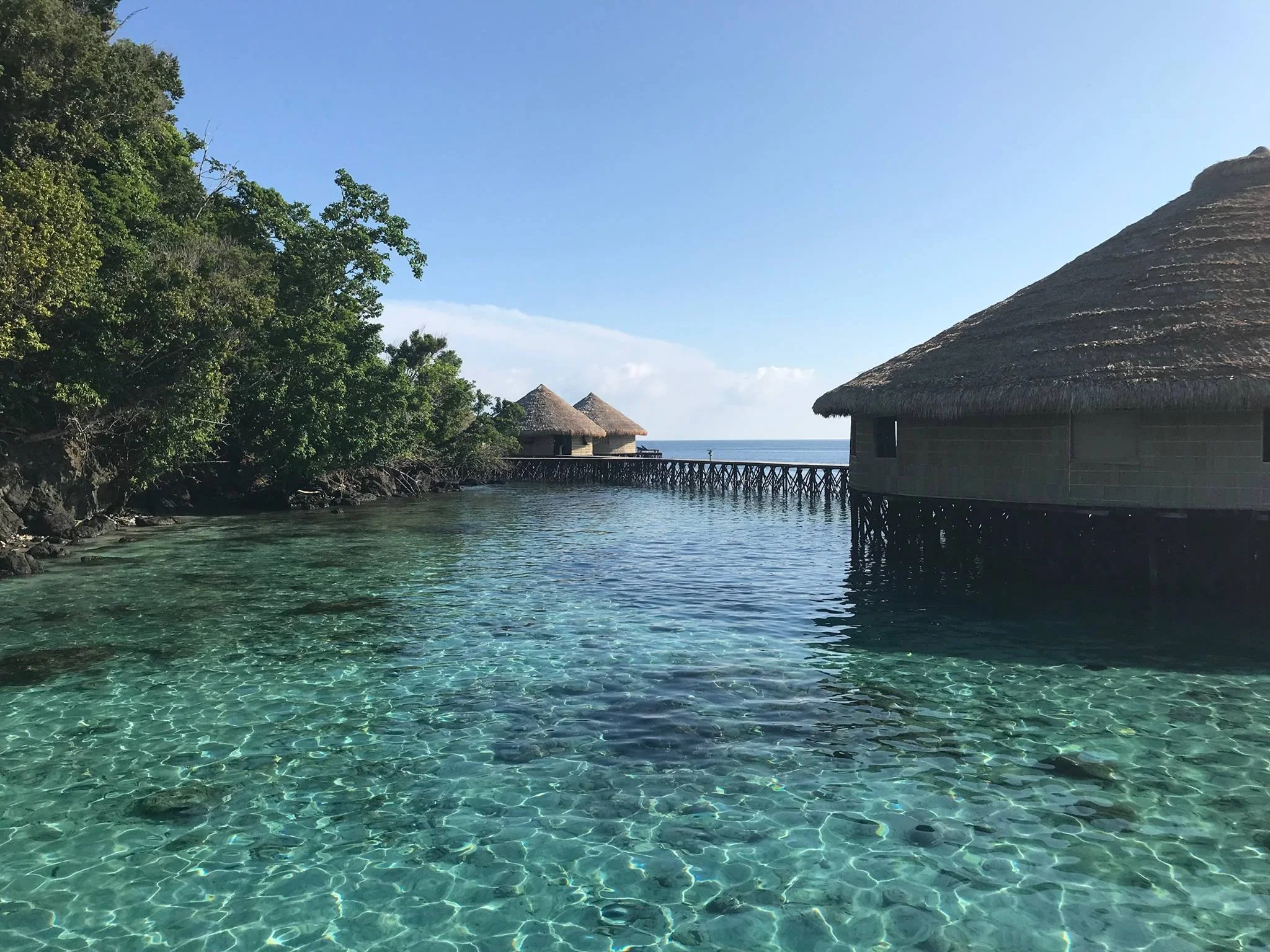 Raja Ampat - Crystal-clear waters, perfect for snorkelling - MahaRaja Eco Dive Lodge