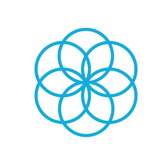 MahaRaja Eco Dive Lodge - Logo Icon - Circle of life