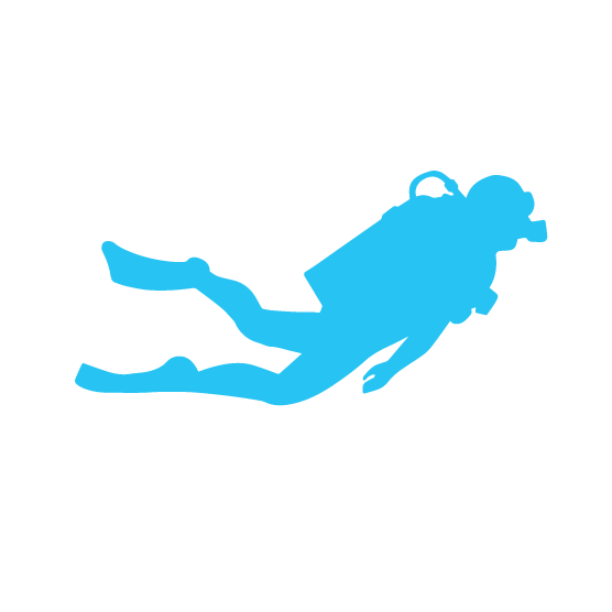 MahaRaja Eco Dive Lodge - Logo Icon - Diver