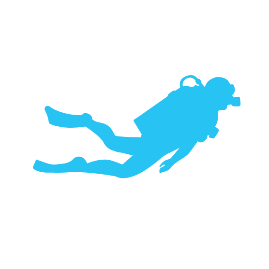 MahaRaja Eco Dive Lodge - Logo Icon - Diver