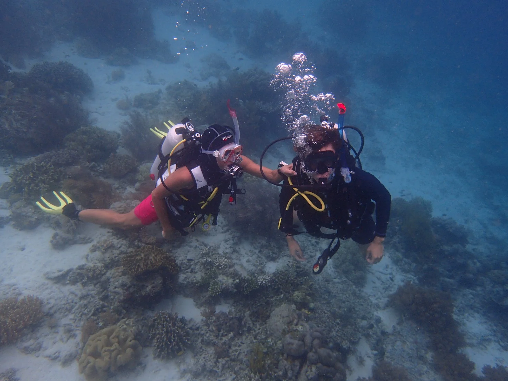 Scuba Diving.jpg