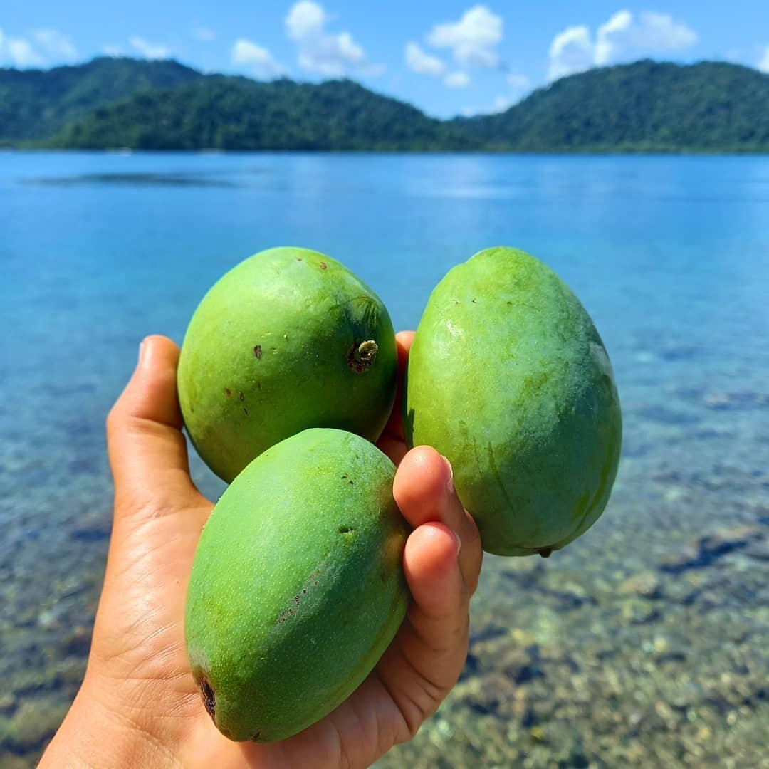 😋 These mango fruits are unique and you can only eat them at MahaRaja 😉

🌈 There are over 500 mango fruit varieties in the world, with different colors such as red, orange, yellow and green.

🎨 The color of a mango fruit is not an indicator o