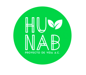 Hunab logo.png