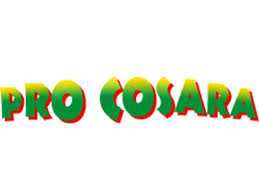 PROC logo.jpg