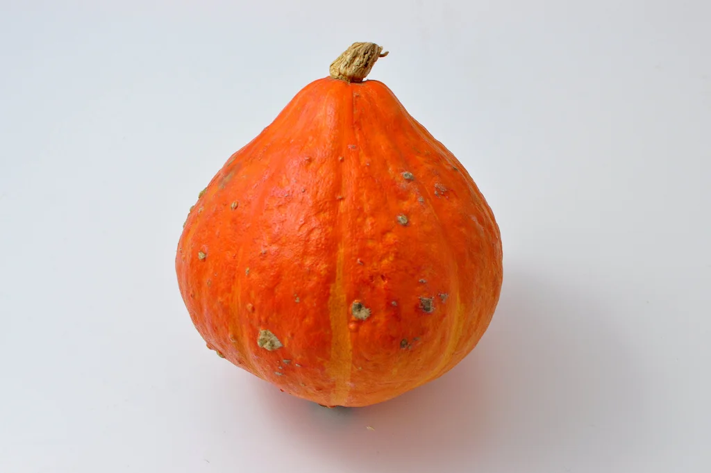 potimarron.jpg