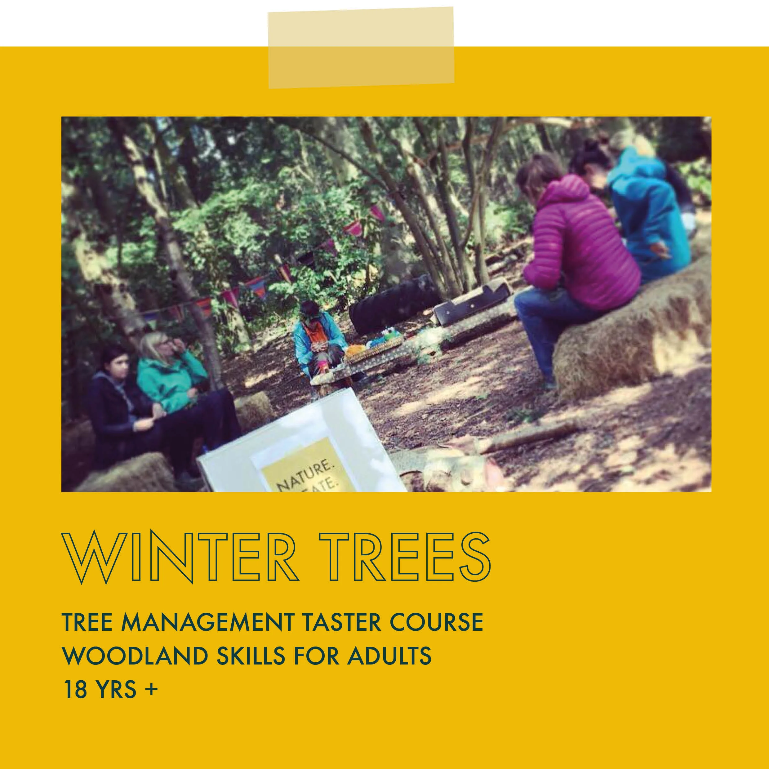 Winter Trees - Tree Management Taster Course - Adult Full Day 