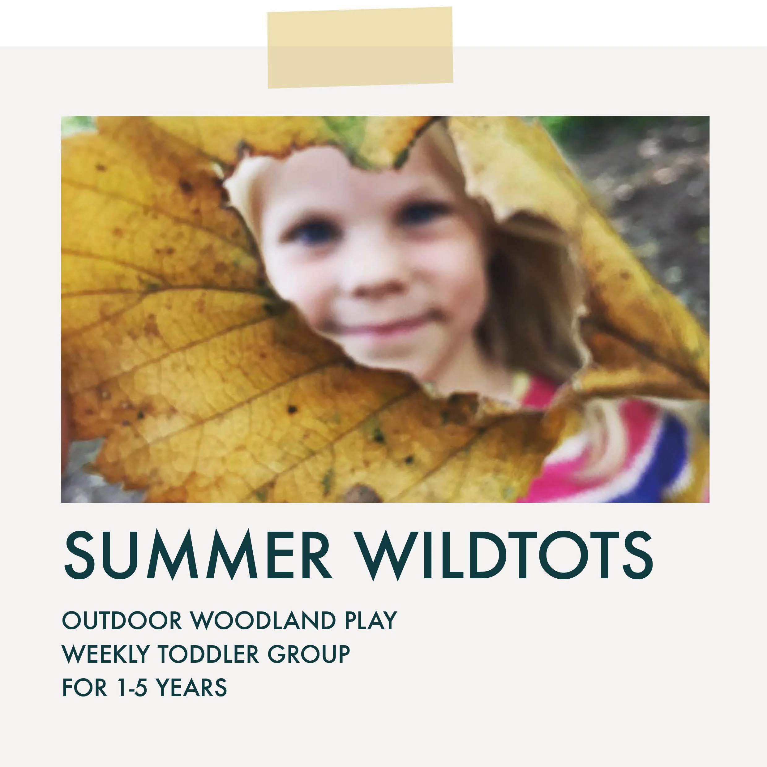 wildtots_summer2019_halfterm01_image_main.jpg