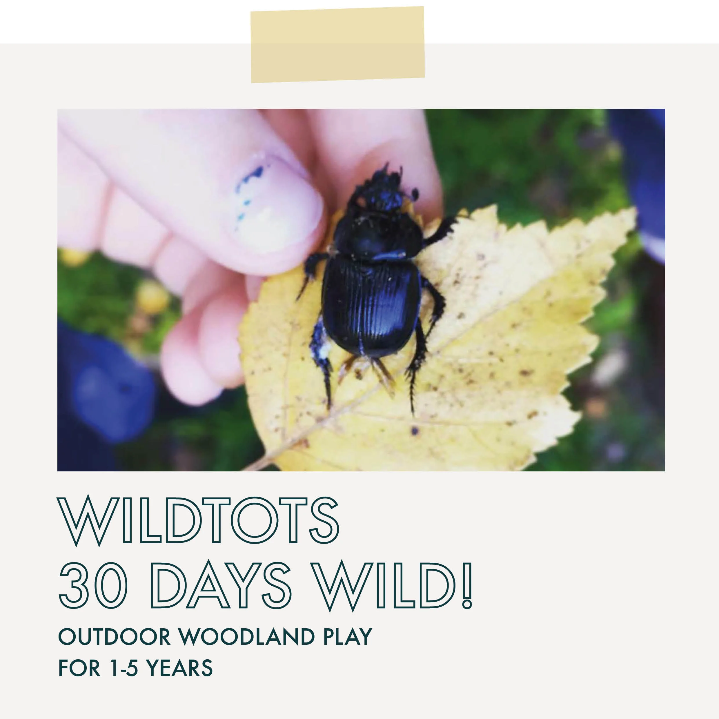 wildtots_30dayswild_2019_image_main.jpg