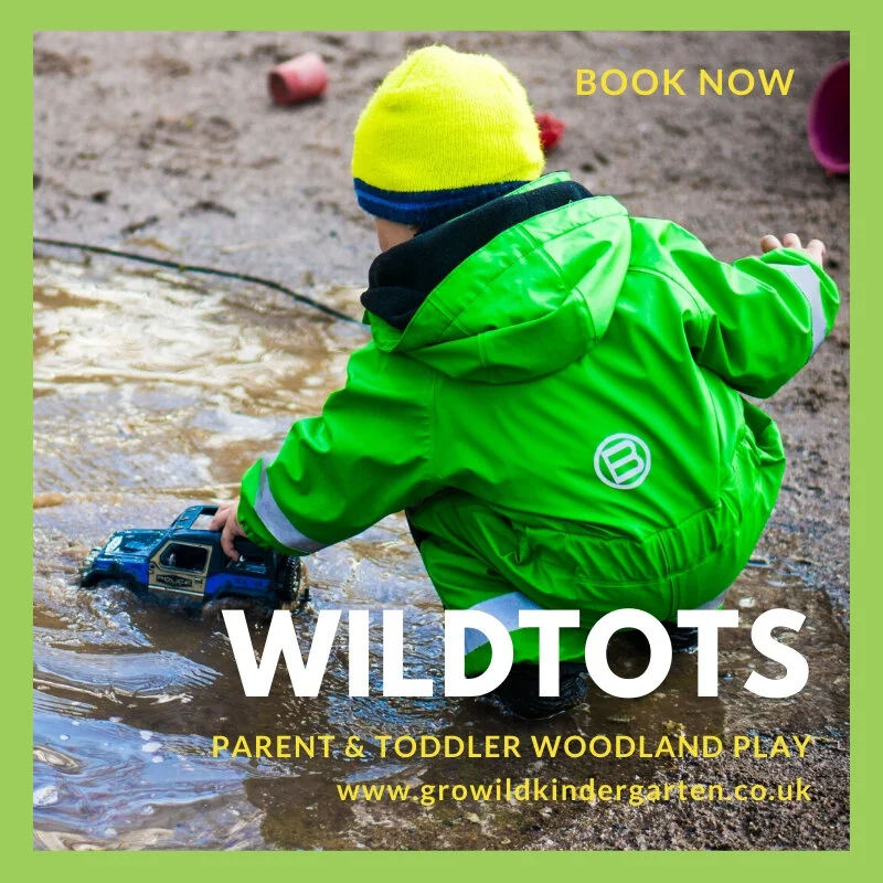 WildTots - New Year - Full Discounted Booking
