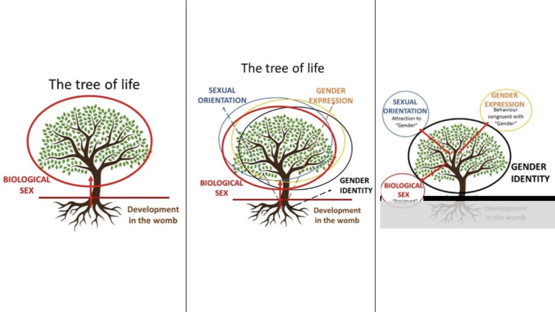 The Gender Revolution - with Patricia &amp; Kamal Weerakoon and Rob Smith 