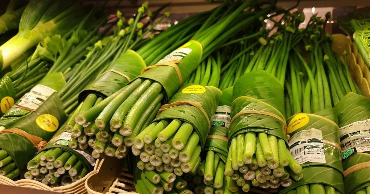 plastic-banana-leaf.jpg