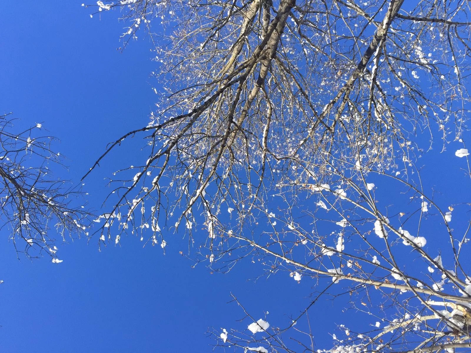 Yoga Winterreeks.jpg