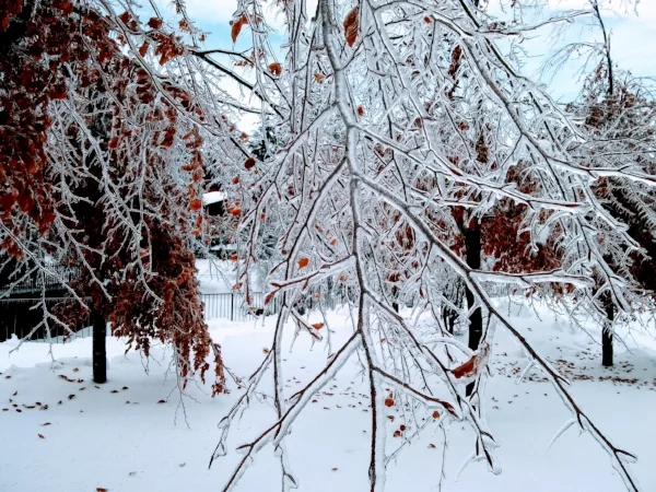 Yoga Winterreeks2.jpg