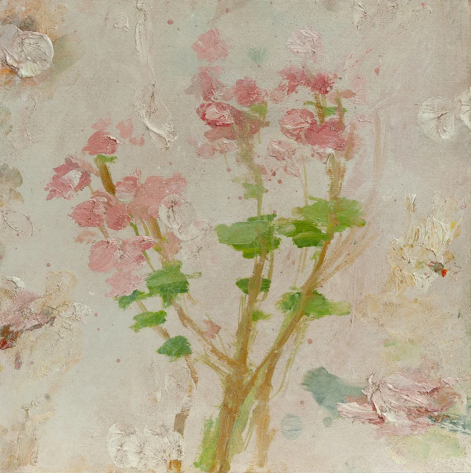 Geranium (limited to 19)