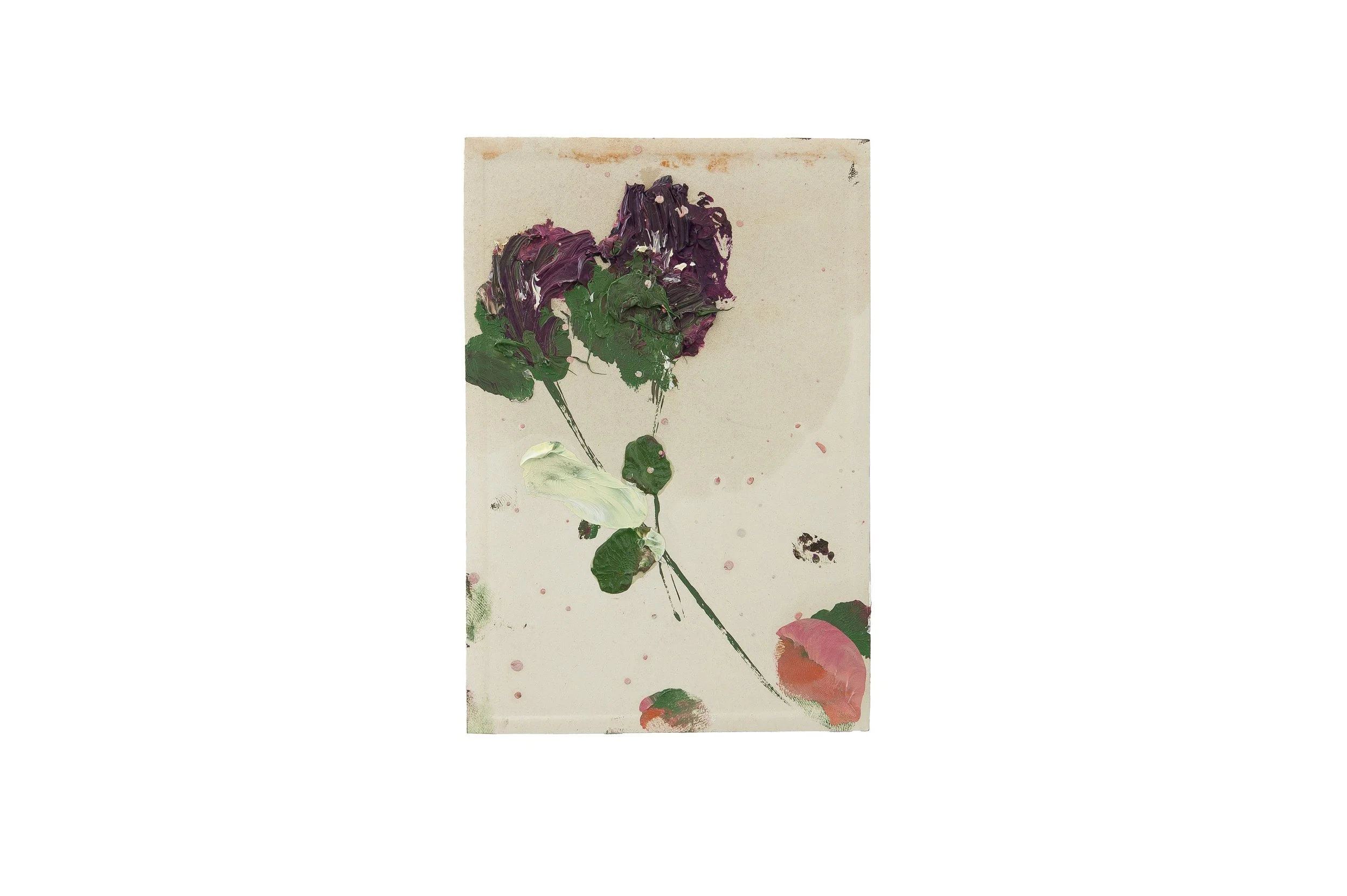 new collection of small flower paintings
