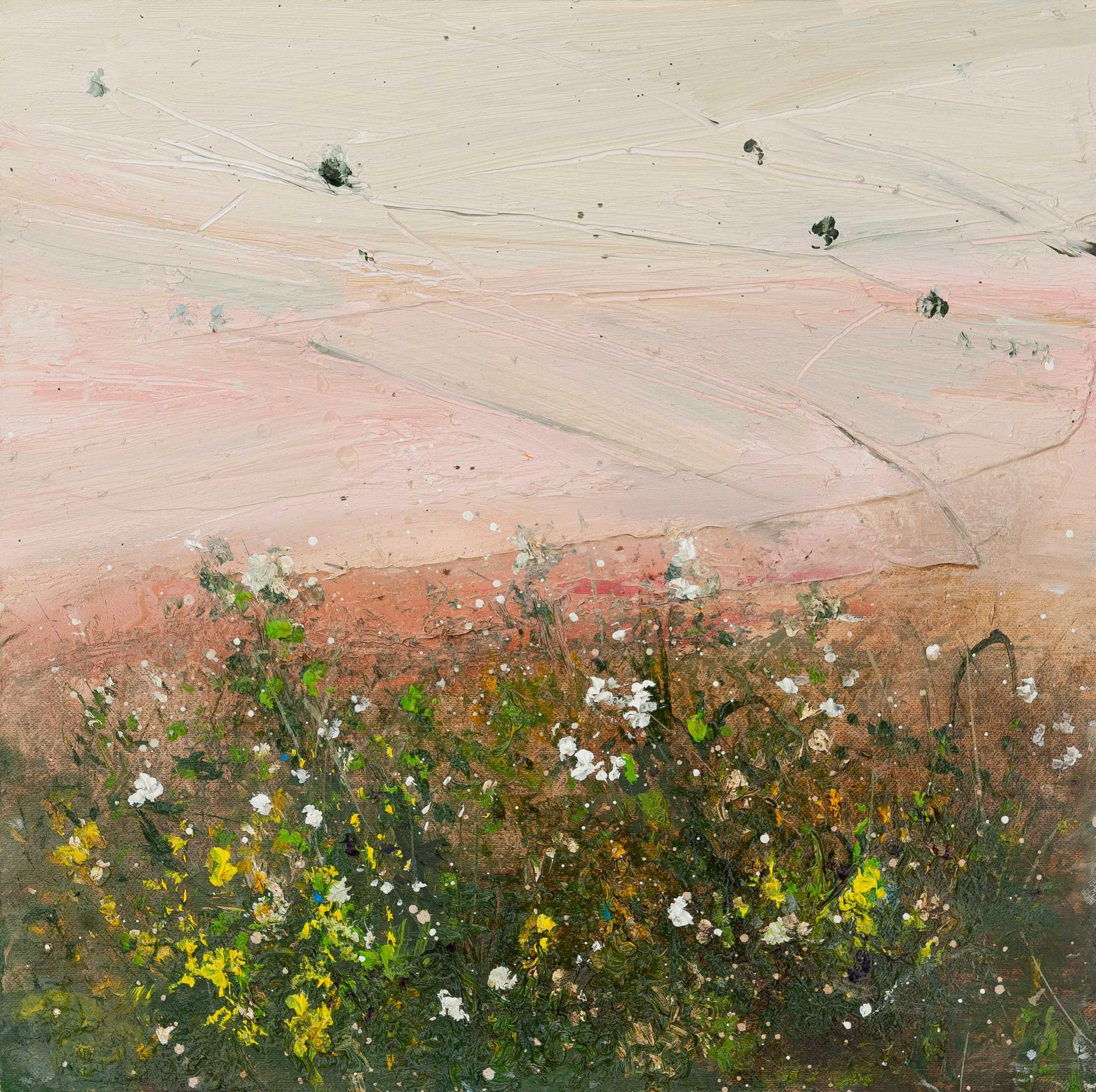 Wildpink