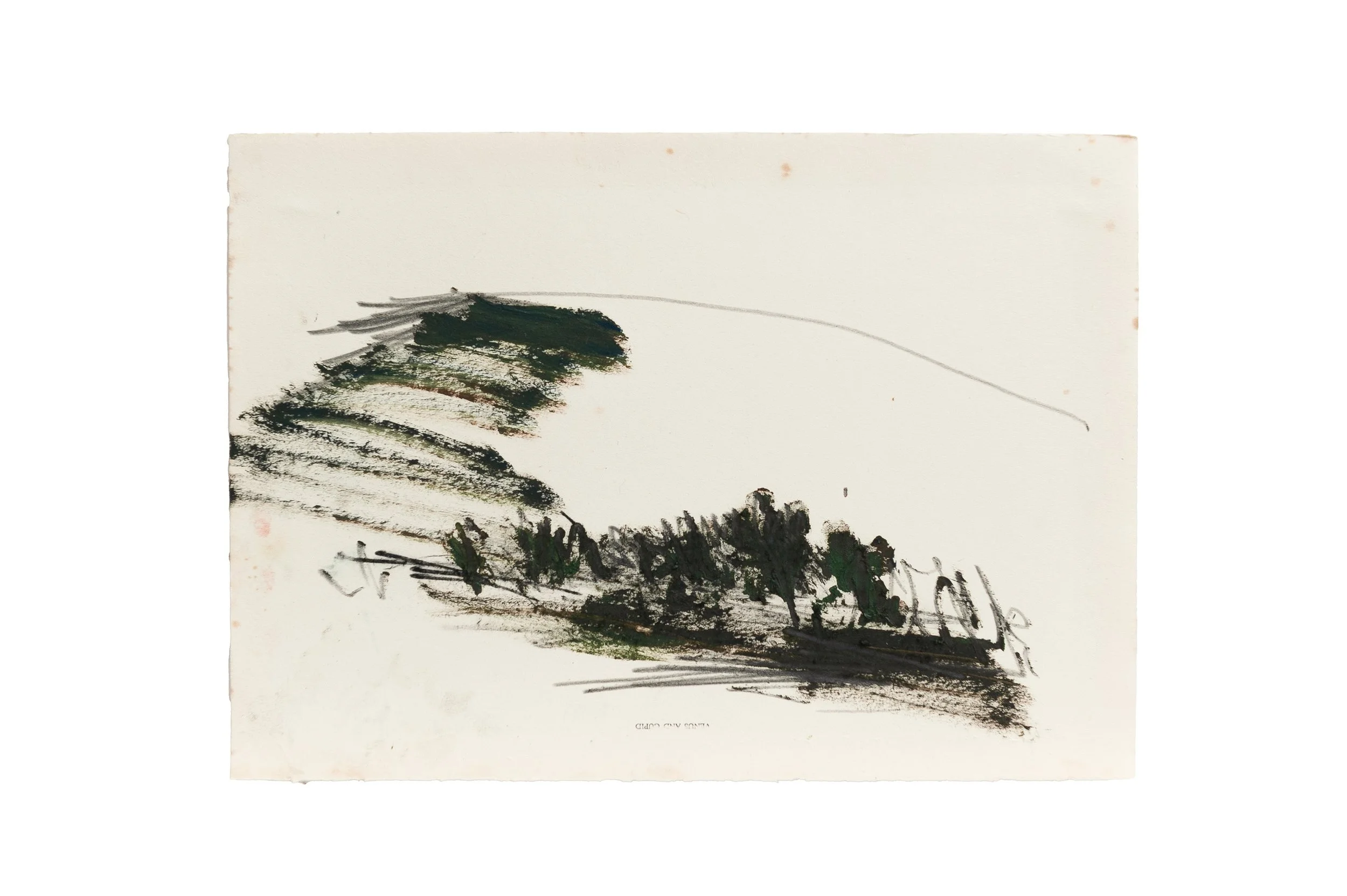 Forest Edge