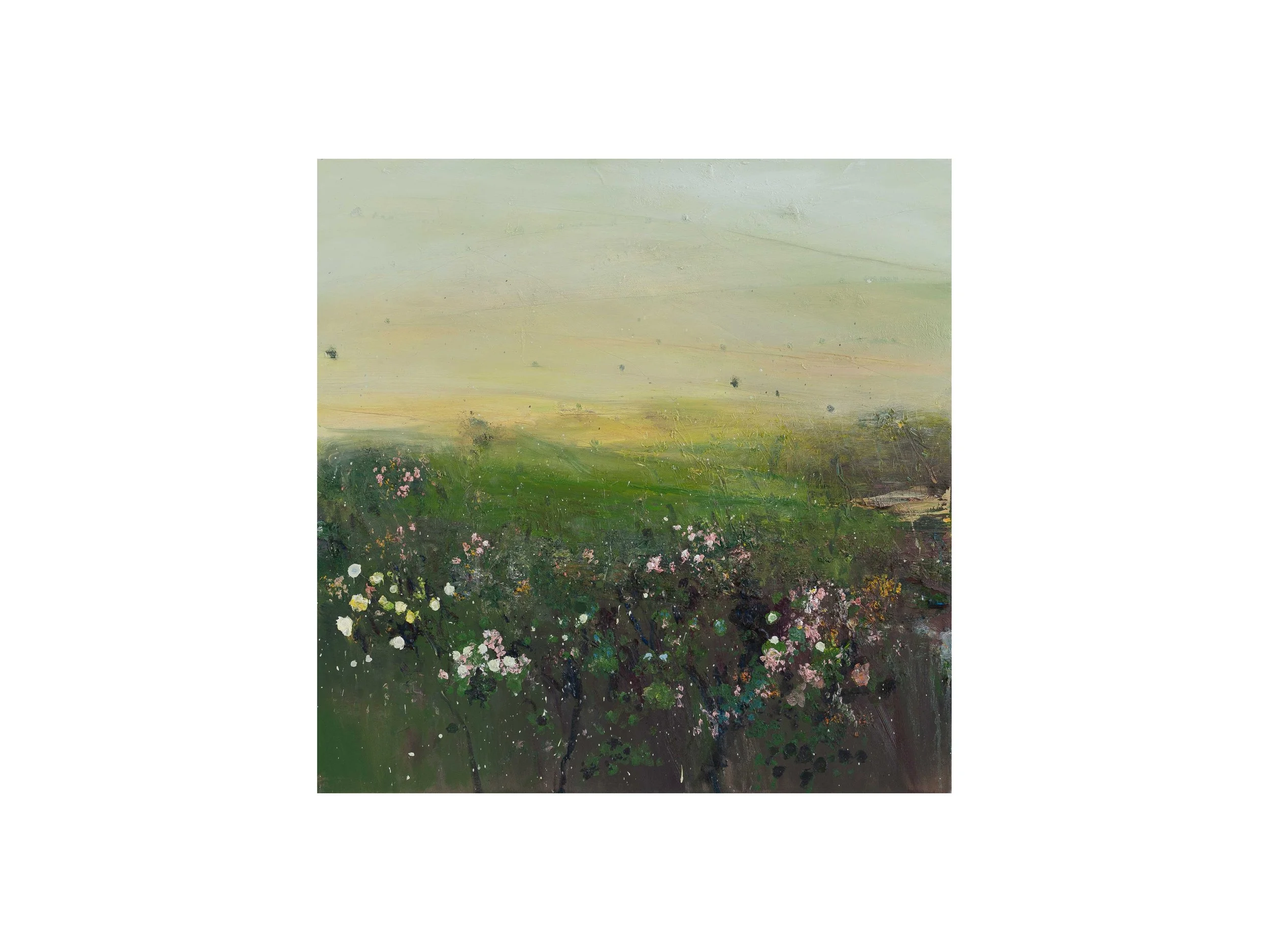 Songbird_100cm_x_100cm_ copy.jpg