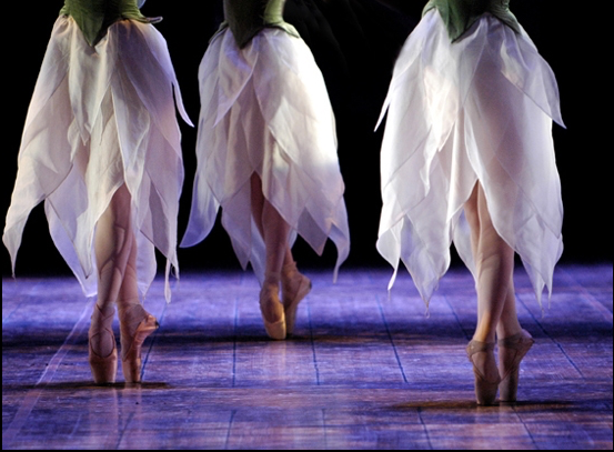 Royal Swedish Opera