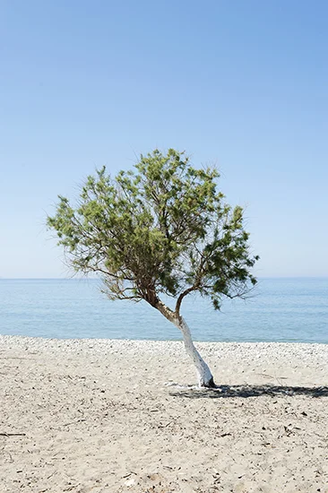 Crete