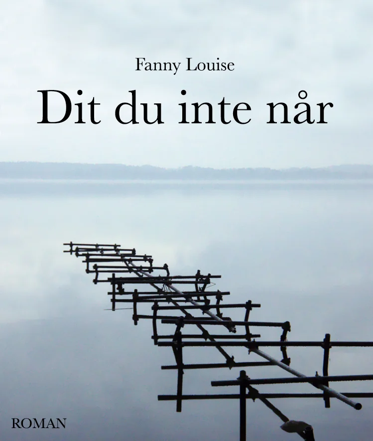 1.Dit du inte når (roman).jpg