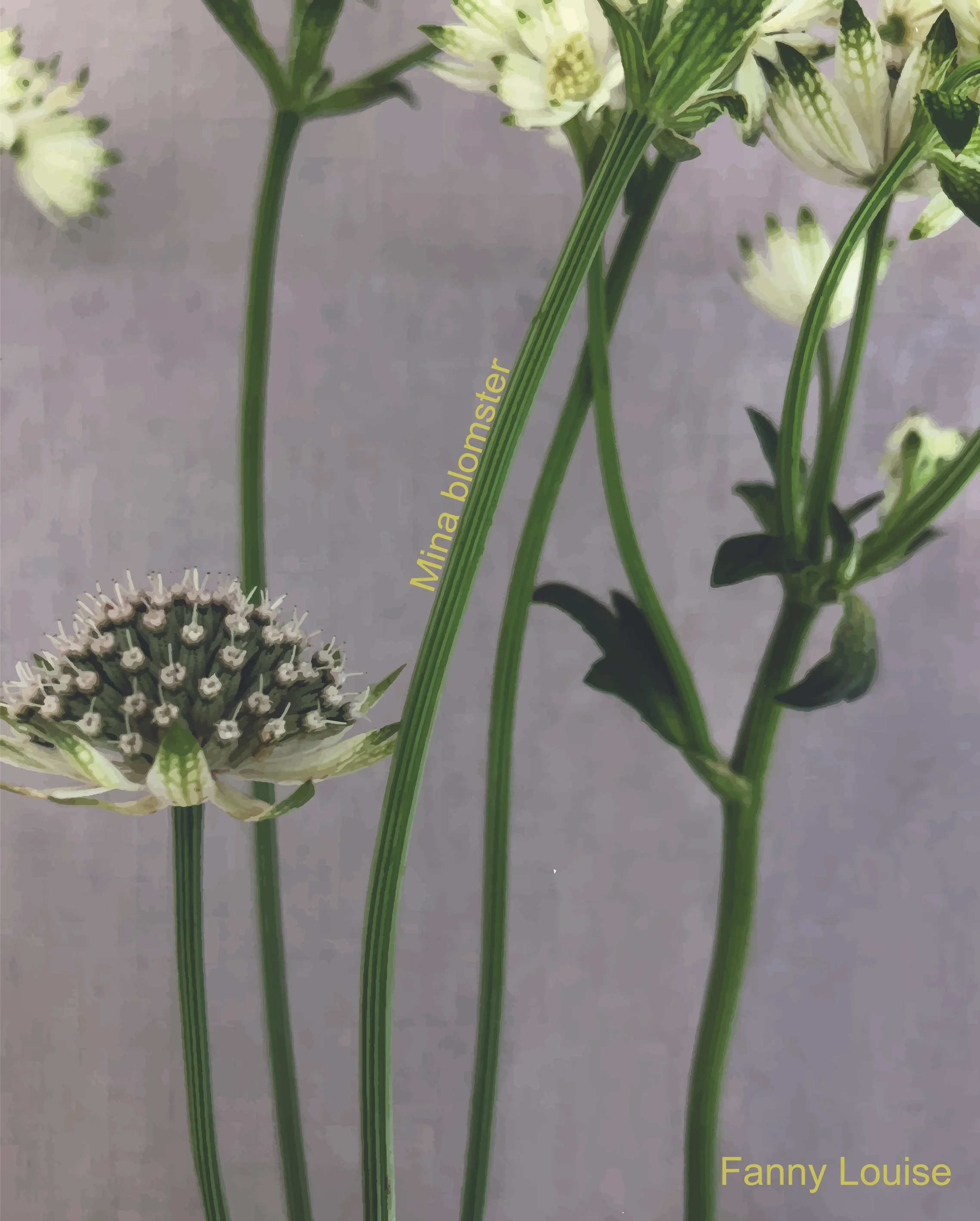 Mina blomster.jpg