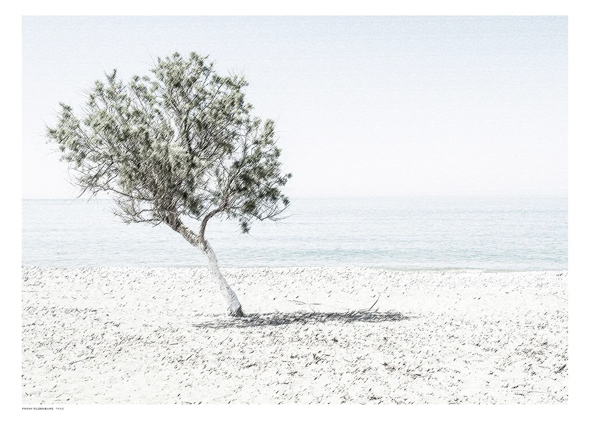 tree available at norrgavel