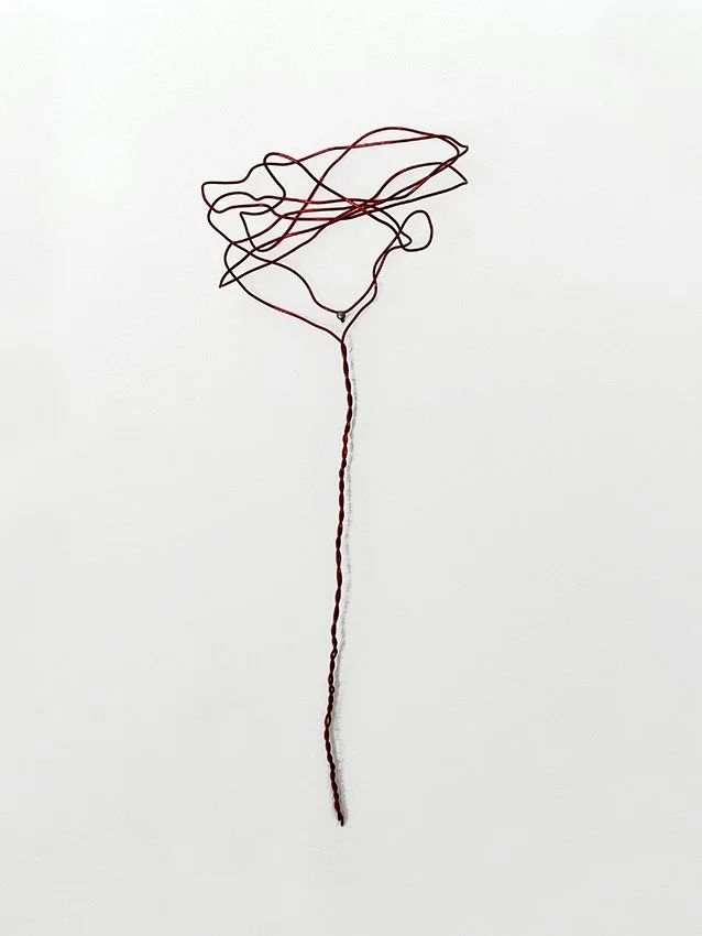  trådkonst på väggen 