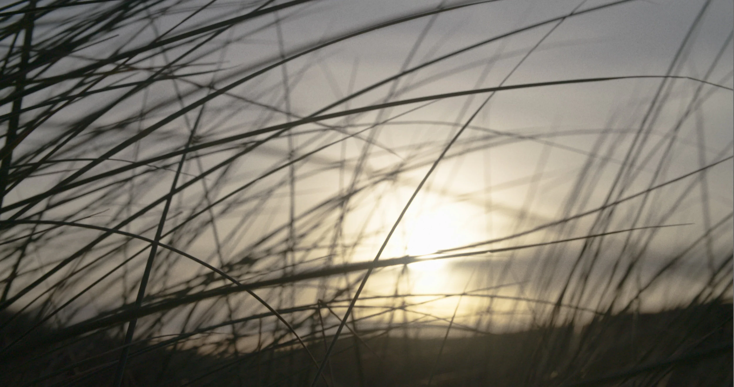 Wildbounds 8.jpg